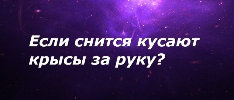 Ругаться во сне с умершей. Сонник ехать.